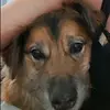 francescasorr68 - @francescasorr68 - TikTok