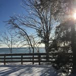 Frances - @francespace - Instagram