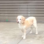 Frances Pace - @frances.pace.121 - Instagram