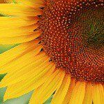 Frances Padgett - @francespadgett84729294729 - Instagram