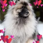 Frances Evans Parsons - @francesparsons299 - Instagram