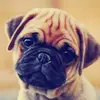 Frances Parsons - @frances.parsons - TikTok