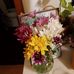 Frances Pearce - Facebook