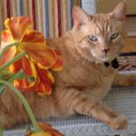 Frances Pennington - @frances.pennington.71 - Instagram