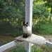 Frances Pickens - Facebook