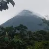 francespickering - @francespickering - TikTok