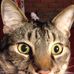 Frances Piper - Facebook