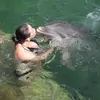 placeswithfrances - @placeswithfrances - TikTok