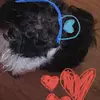 Quazeyhaul - @francessafeplace - TikTok