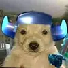 Ramsés XD - @francesposting0 - TikTok
