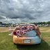 Frances Potts - Facebook