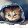 Frances Potts - @francespotts_9280 - TikTok