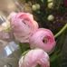 Frances Power - Facebook