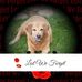 Frances Bridgen - Facebook