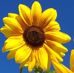 Frances Quintero Gil - Facebook