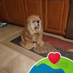 Frances Ralston - @barnsey2401 - Instagram