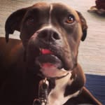 Frances Randolph - @instafranstagram - Instagram