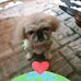 Frances Rawls - Facebook