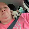 Frances - @rayfield_party_of_5 - TikTok