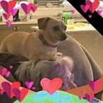Frances Rayfield Stines - Facebook
