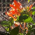 Frances Read - @fread07 - Instagram