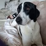 Frances Redding - @frances587080 - Instagram