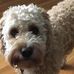 Frances Delaney Regier - Facebook