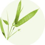 Frances Ritchie - @pearlbamboo - Instagram