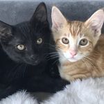 frances ritchie - @mrsritchie5 - Instagram