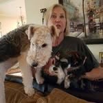 Frances Roach - @francesroach623 - Instagram