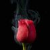 Francesca Rock - Facebook
