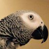 Frances Rojas - @30219376985 - TikTok