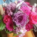 Frances Rolfe - @repek17381 - Instagram
