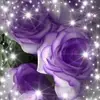 Frances Crouse - @frances.crouse - TikTok