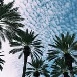 🌏RUBY PLACE🌏 - @_ruby_frances_ - Instagram