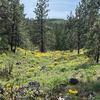 francesruddock861 - @francesruddock861 - TikTok