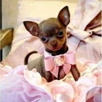 Frances Rumph - Facebook