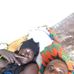 Francis Sabo - Facebook