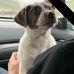Frances Scanlon - Facebook
