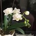 Frances S. Schilling - Facebook