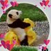 Frances Schneider - Facebook