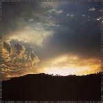 Frances Schroeder - @omarparisbfh - Instagram
