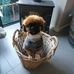 Francis Schroeder - Facebook