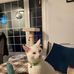 Frances Schwab - Facebook