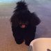 Frances Scribner - Facebook