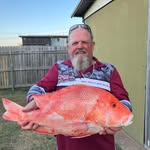 Francis Shanks - @francisshanks - Instagram