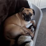 frances sharples - @sharplesfrances - Instagram