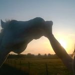 Frances Shaw - @francesmshaw - Instagram