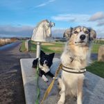 Frances Shaw - @pennyshaw16 - Instagram