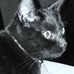 Frances Shaw - Facebook